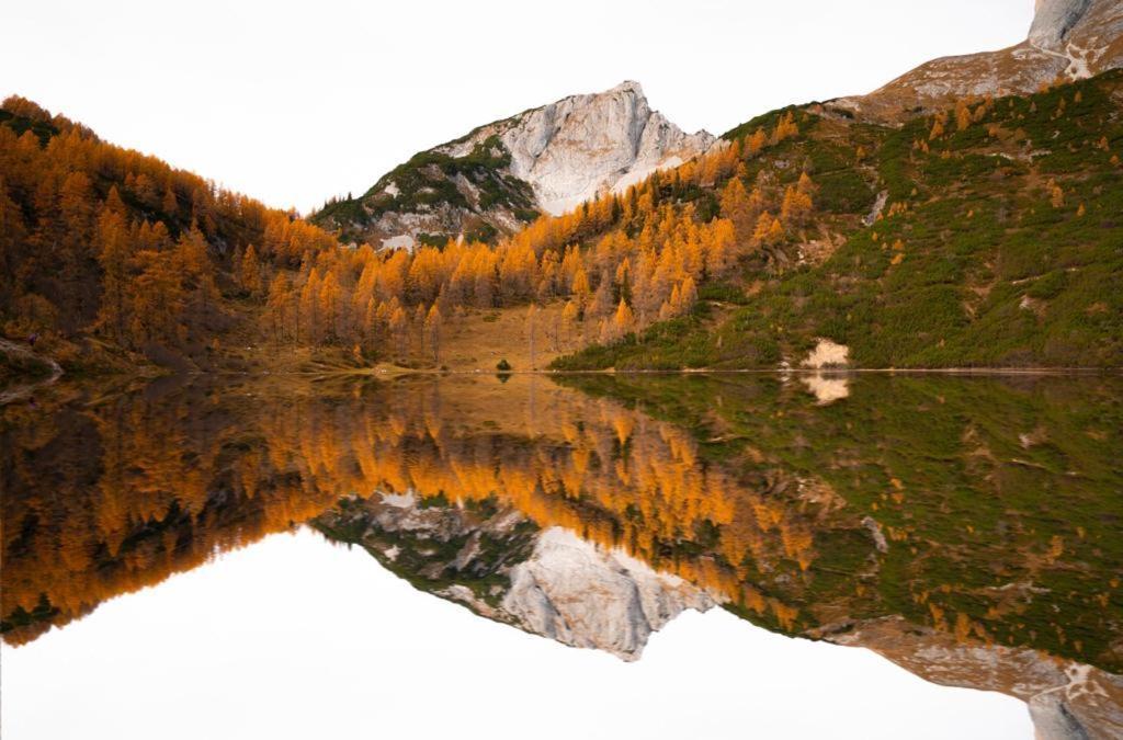 Haus Bergzauber Apartamento Ramsau am Dachstein Quarto foto