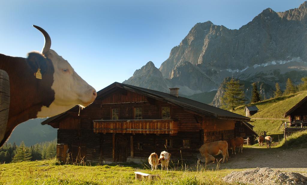 Haus Bergzauber Apartamento Ramsau am Dachstein Exterior foto